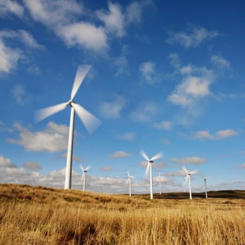 BK Groep beperkt de uitstoot van CO2