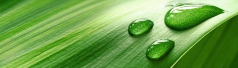 Ecologisch onderzoek bij BK ingenieurs
