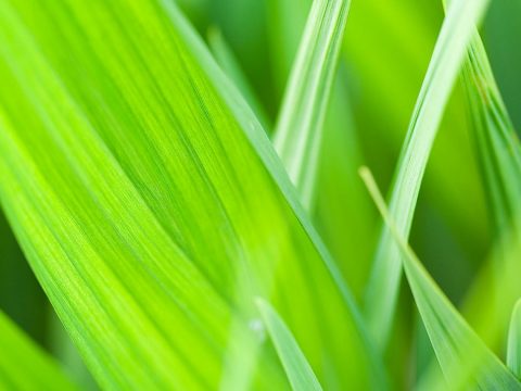 waar moet je bij ruimtelijke ontwikkelingen eigenlijk allemaal rekening mee houden als het gaat om natuur en milieu?