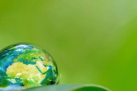 Ecoloog BK ingenieurs aan het woord