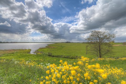 BK ingenieurs, duurzaamheid, reductiedoelstellingen, raamcontract, gemeente Utrecht, Movares