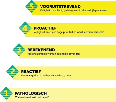 Veiligheidsladder, BK ingenieurs, certificeringsbegeleiding, NCI, Hanneke de Vries